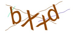 Identifying code