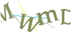 Identifying code