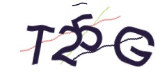Identifying code