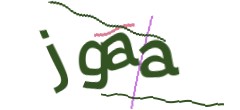 Identifying code