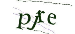 Identifying code