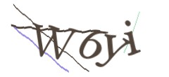 Identifying code