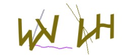 Identifying code
