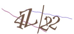 Identifying code