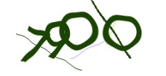 Identifying code