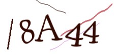 Identifying code
