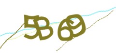 Identifying code