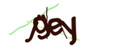 Identifying code