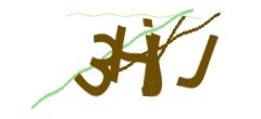 Identifying code