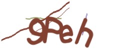 Identifying code