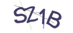 Identifying code