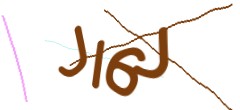 Identifying code