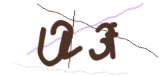 Identifying code