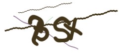 Identifying code