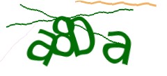 Identifying code