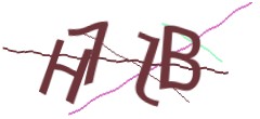 Identifying code