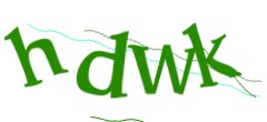 Identifying code