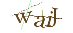 Identifying code