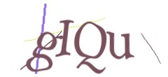 Identifying code