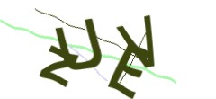 Identifying code