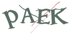 Identifying code