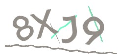 Identifying code