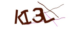 Identifying code
