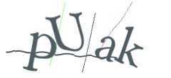 Identifying code