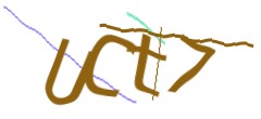 Identifying code
