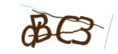 Identifying code