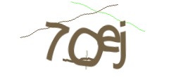 Identifying code