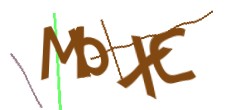 Identifying code