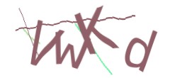 Identifying code