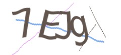 Identifying code
