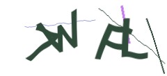 Identifying code