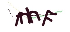Identifying code