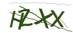 Identifying code