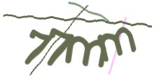 Identifying code