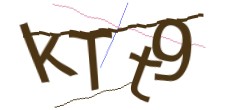 Identifying code