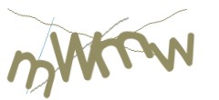 Identifying code