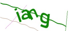 Identifying code