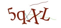 Identifying code