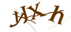 Identifying code