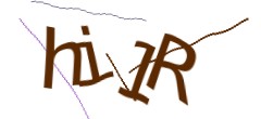 Identifying code