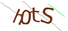 Identifying code