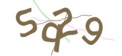 Identifying code