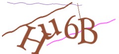 Identifying code