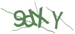 Identifying code