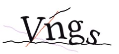 Identifying code