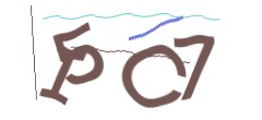 Identifying code